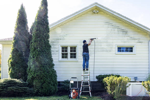 Best Gutter Cleaning  in Calais, ME
